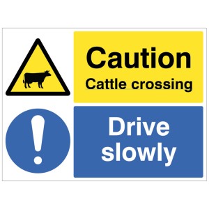 Cattle Crossing - Drive slowly Cattle Crossing - Drive slowly