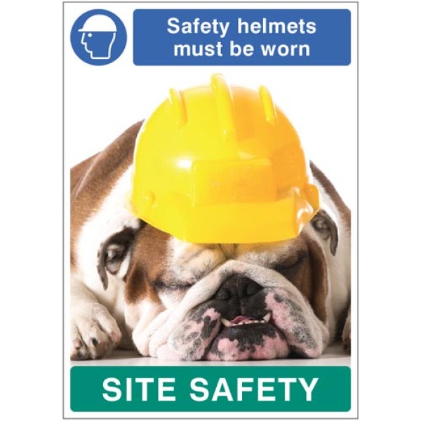 Safety Helmets must be Worn - Dog - Poster Safety Helmets must be Worn - Dog - Poster